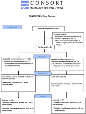 Sensorimotor vs. Motor Upper Limb Therapy for Patients With Motor and Somatosensory Deficits: A Randomized Controlled Trial in the Early Rehabilitation Phase After Stroke